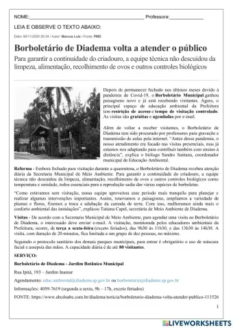 Interpretação textual