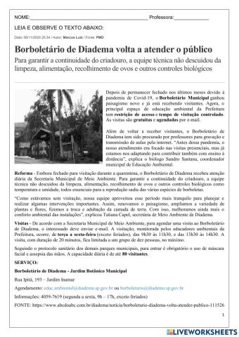 Interpretação textual