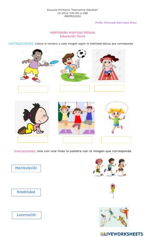 Habilidades motrices basicas