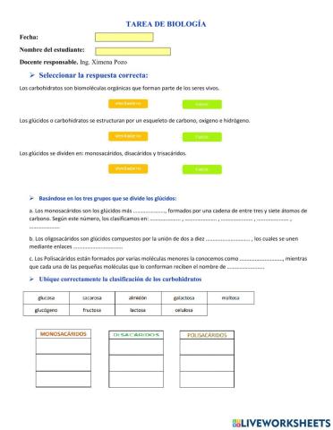 Estructura de los carbohidratos