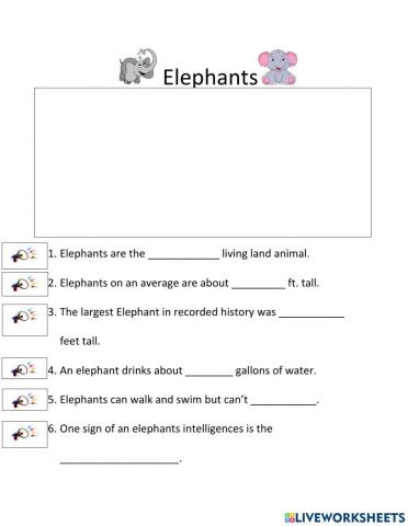 Elephants