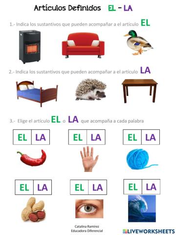 Artículos definidos singular