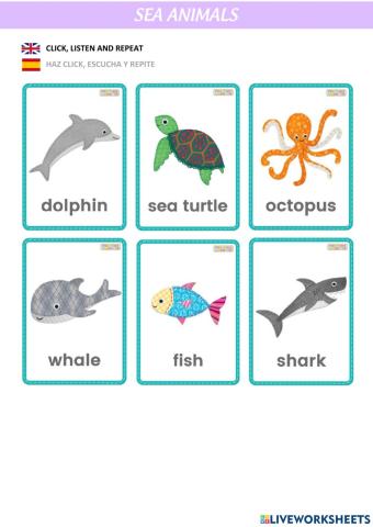 SEA ANIMALS flashcards