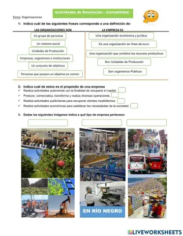 Actividades sobre organización