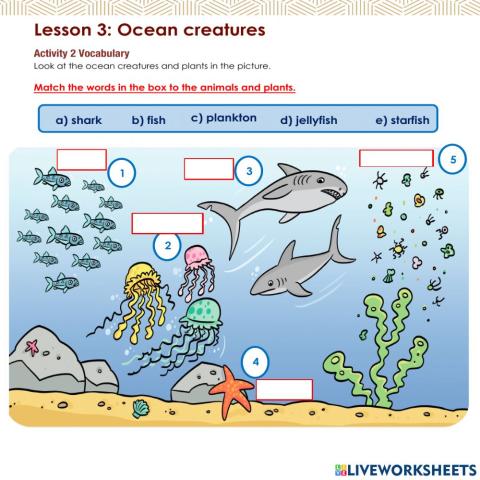 Access 6 - T3 - U8 - L3 - Act 2