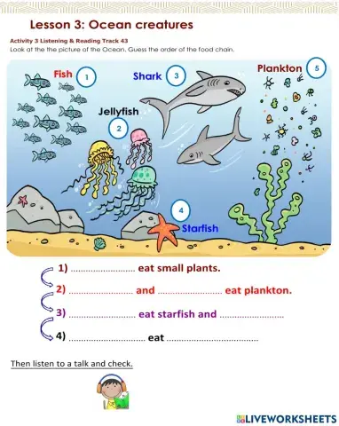 Access 6 - T3- U8 - L3 - Act 3