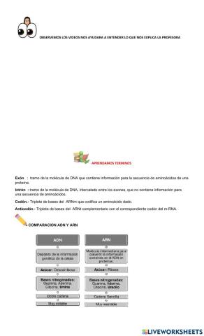 GUIA TRANSCRIPCION- TRADUCCION