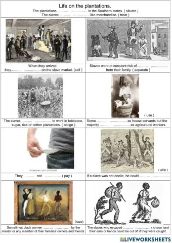 life on the plantations