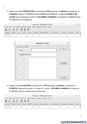 Introducción al PSPP - Declaración de Variables 2