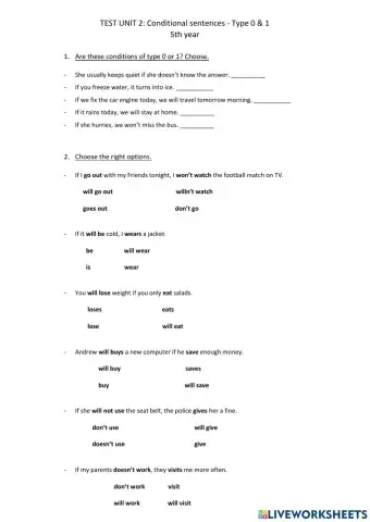 Conditional Sentences - Type 0 & 1