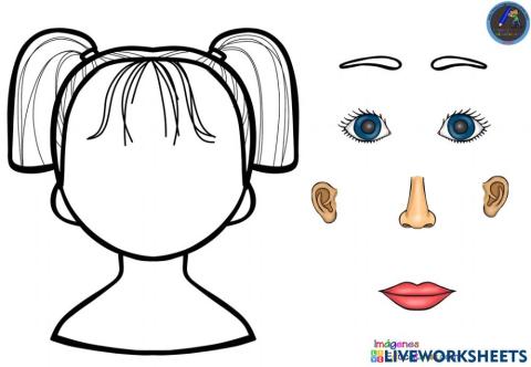 Partes del rostro