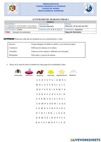 Animales invertebrados