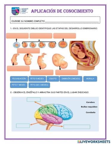 Aplicación de conocimientos
