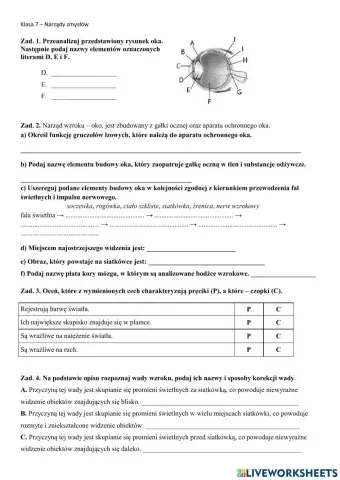 Klasa 7 - narządy zmysłów