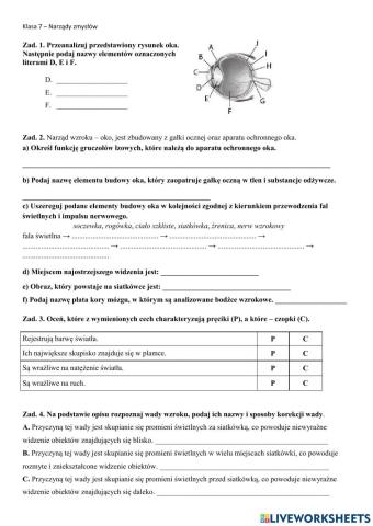 Klasa 7 - narządy zmysłów