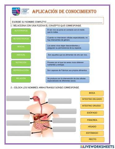 Aplicación de conocimientos
