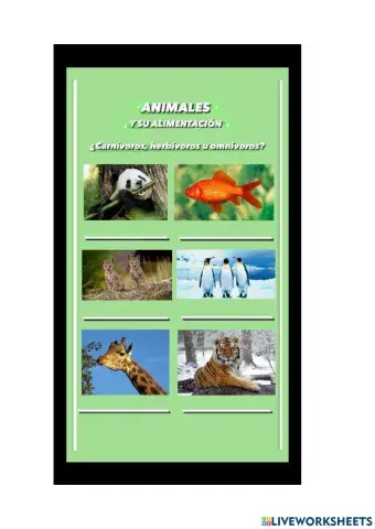 Animales y su alimentacion