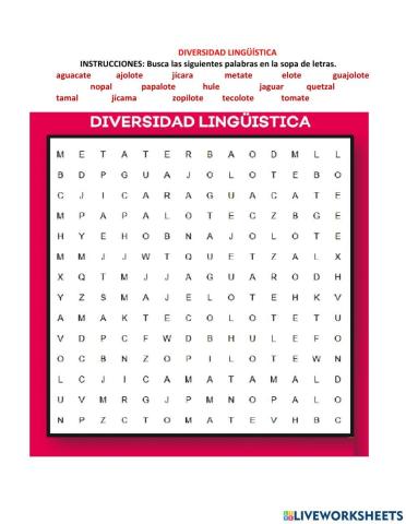 4.Diversidad Lingüística