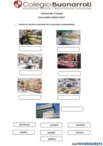 Evaluación UNIDAD 5