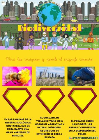 Súper-biodiversidad