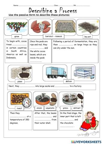 Describing a Process (Chocolate Production)