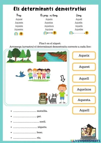 Determinants demostratius