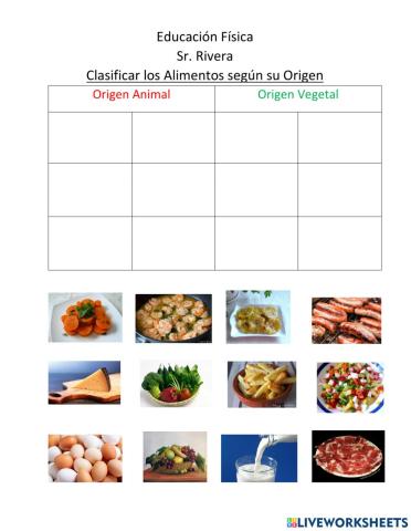 Clasificar fuente vegetal o animal