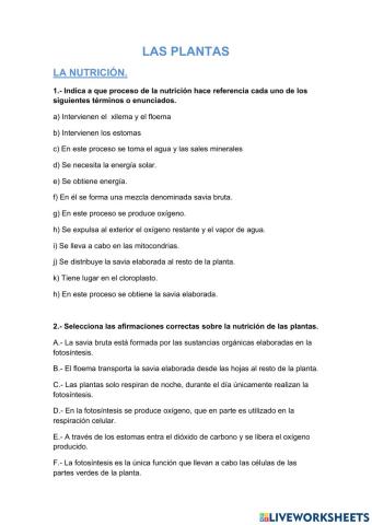 Las plantas. Nutrición
