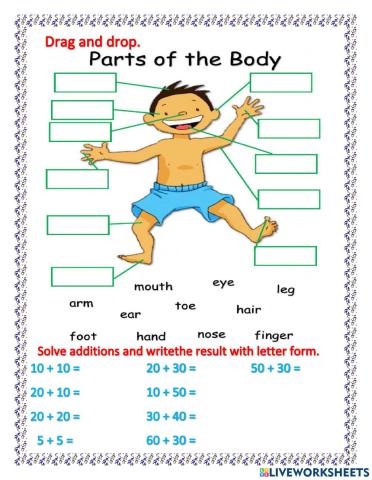 Body parts and numbers