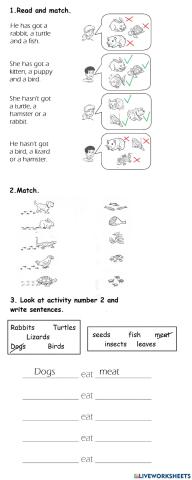 Tiger 2 - Unit 5 - What animals eat