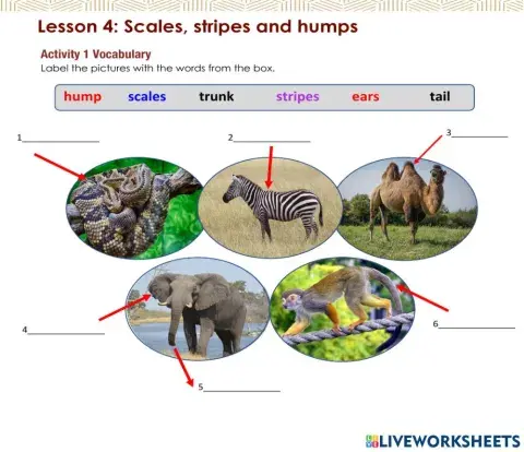 Access 6 - T3 - U8 - L4 - Act 1