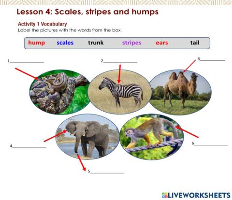 Access 6 - T3 - U8 - L4 - Act 1