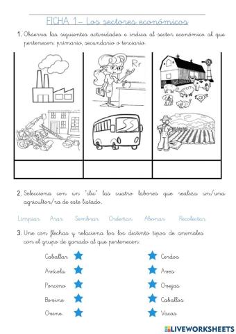 3º Primaria- Los sectores económicos