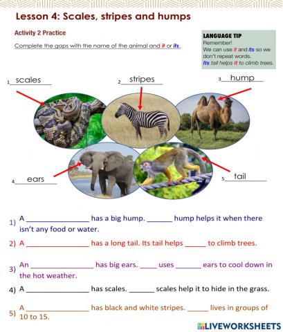 Access 6 - T3 - U8 - L4 - Act 2