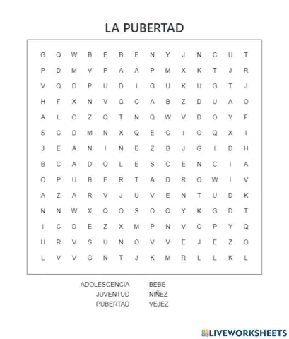Sopa de letras