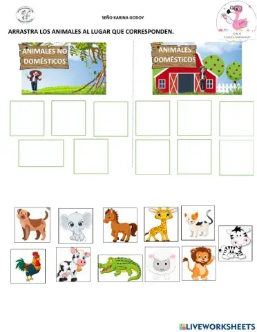 Animales domésticos y no domésticos