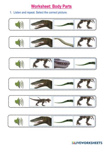 Dinosaur Body Parts