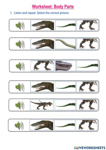 Dinosaur Body Parts