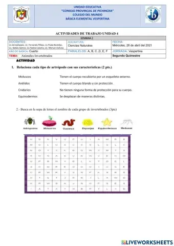 Animales invertebrados