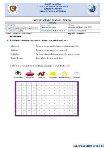 Animales invertebrados