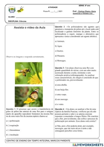 Atividade sobre polinização