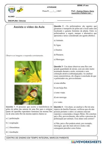 Atividade sobre polinização