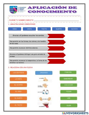 Aplicación de conocimientos