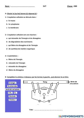 Oxydation et assimilation