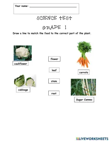 Plant and Animal Around Us