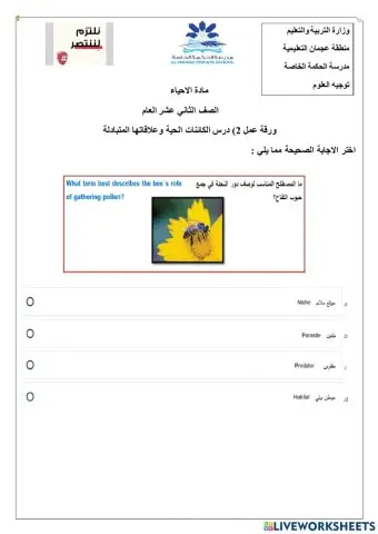 ورقة عمل تفاعلية