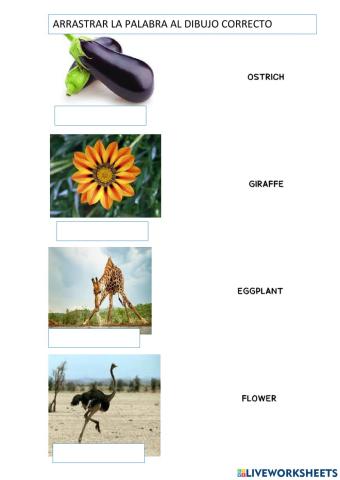 More words in English