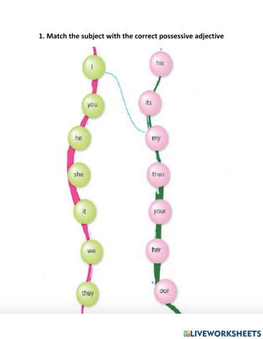 Possessive adjectives
