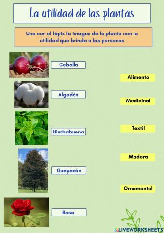 La utilidad de las plantas
