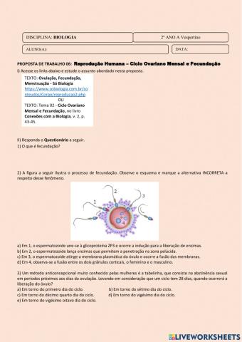Ciclo Ovariano Mensal e Fecundação